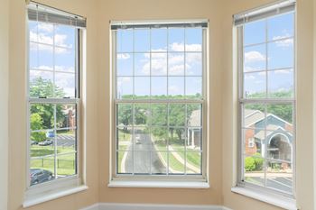 Abundant Natural Lighting